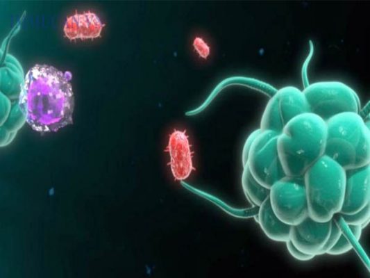 Điều trị viêm gan B