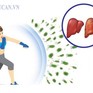 Điều trị viêm gan B