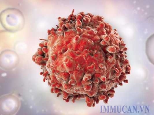 lieu-phap-mien-dich-tu-nhien Liệu pháp miễn dịch tự nhiên