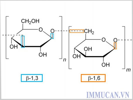 lieu-phap-mien-dich-tu-nhien Liệu pháp miễn dịch tự nhiên