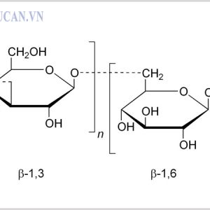 Thuốc tăng cường hệ miễn dịch cho người lớn