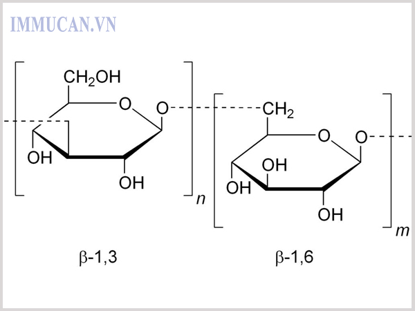 Thuốc tăng cường hệ miễn dịch cho người lớn