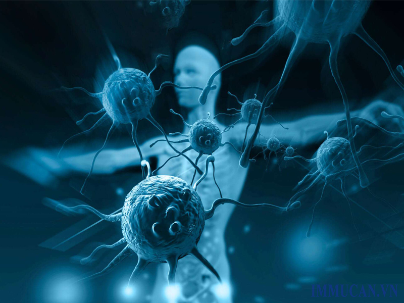 Vai trò của hệ miễn dịch