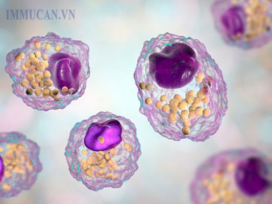 Vai trò của hệ miễn dịch