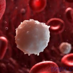 Giảm bạch cầu, hồng cầu